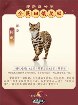 天龙八部无限法则私服